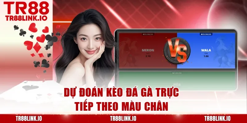 Dự đoán kèo đá gà trực tiếp theo màu chân