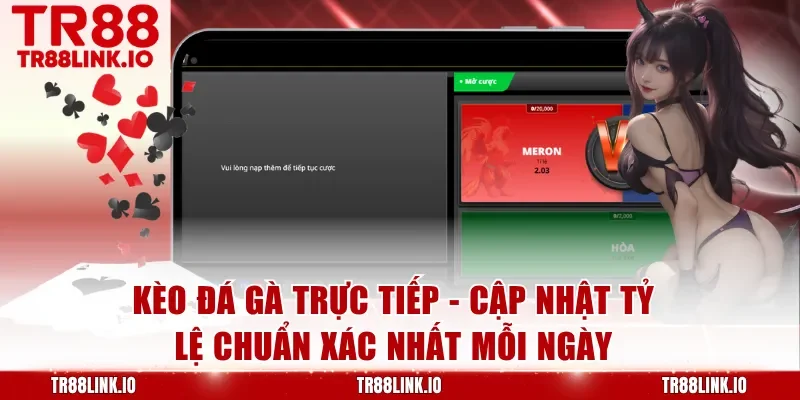 Kèo Đá Gà Trực Tiếp - Cập Nhật Tỷ Lệ Chuẩn Xác Nhất Mỗi Ngày