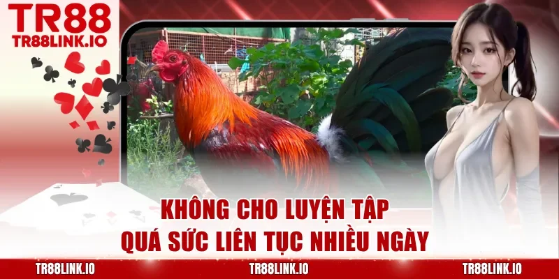 Không cho luyện tập quá sức liên tục nhiều ngày