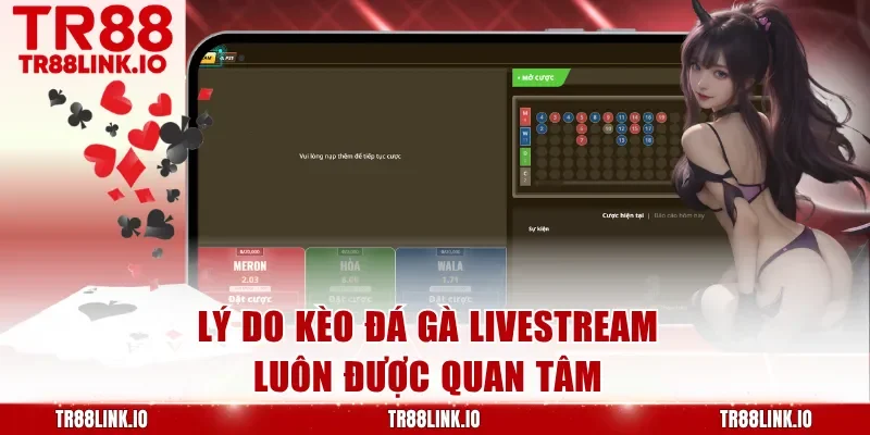 Lý do kèo đá gà livestream luôn được quan tâm