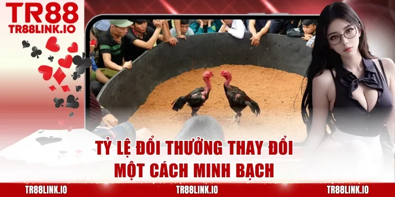 Tỷ lệ đổi thưởng thay đổi một cách minh bạch